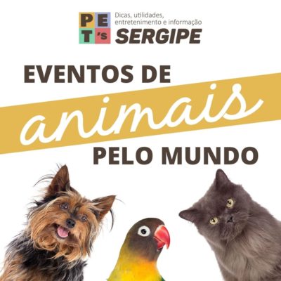 Eventos de Animais pelo Mundo